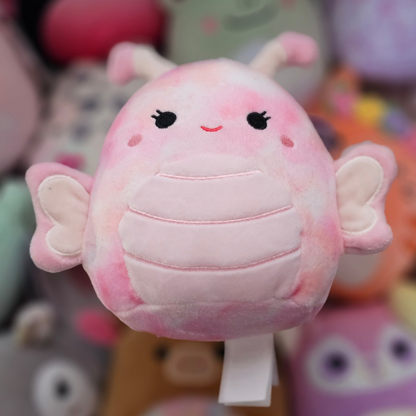 Personalized Squishmallow