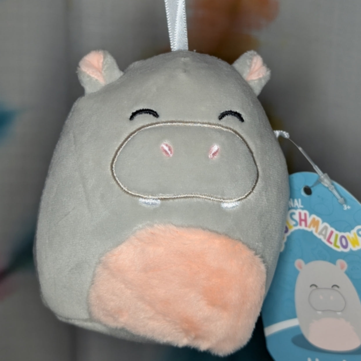 Personalized Squishmallow Ornament
