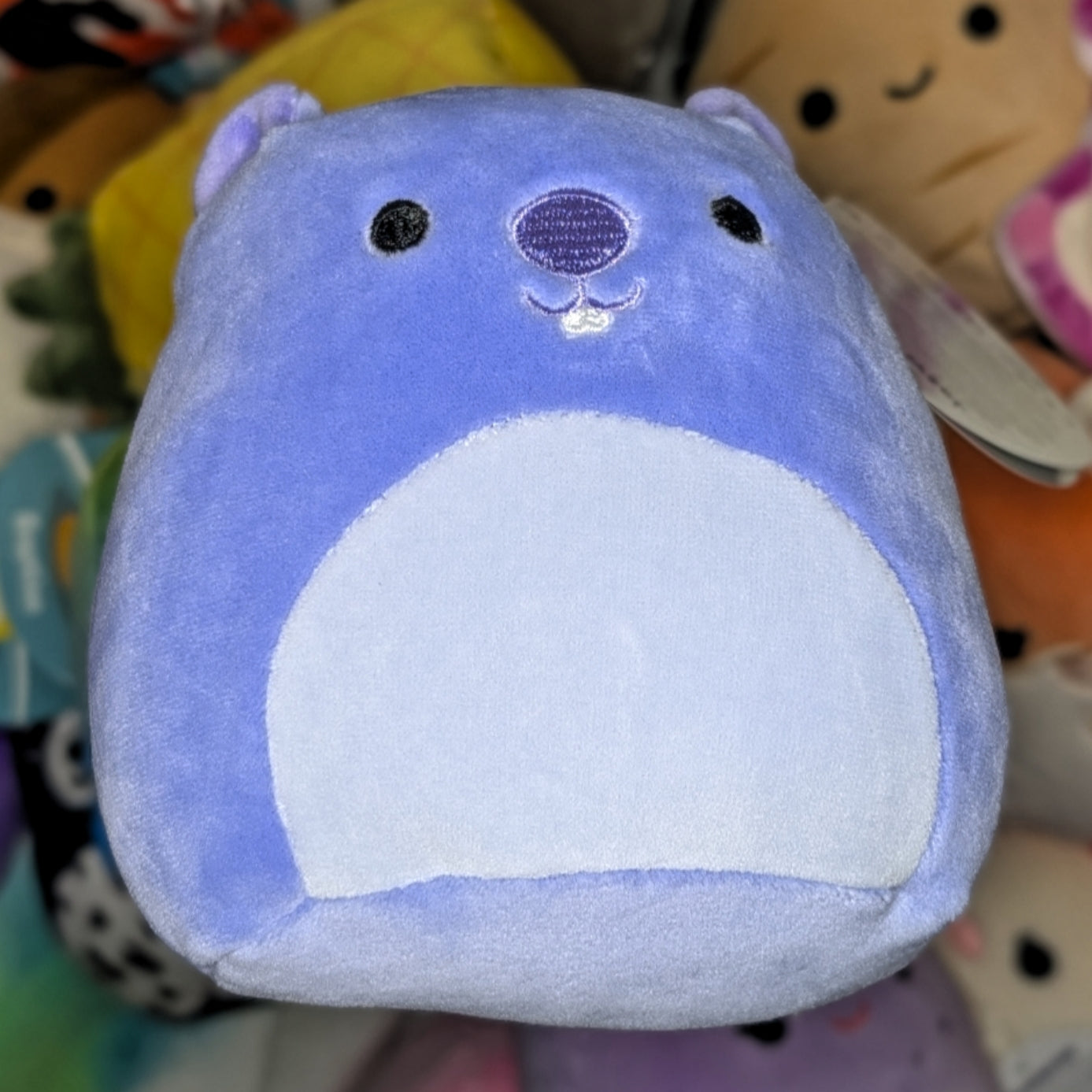 Personalized Squishmallow