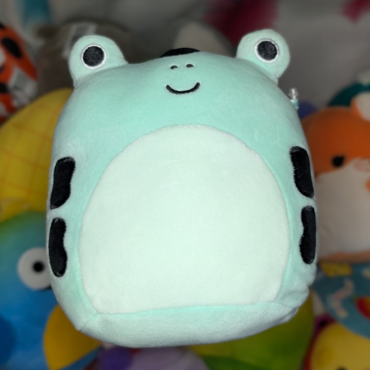 Personalized Squishmallow