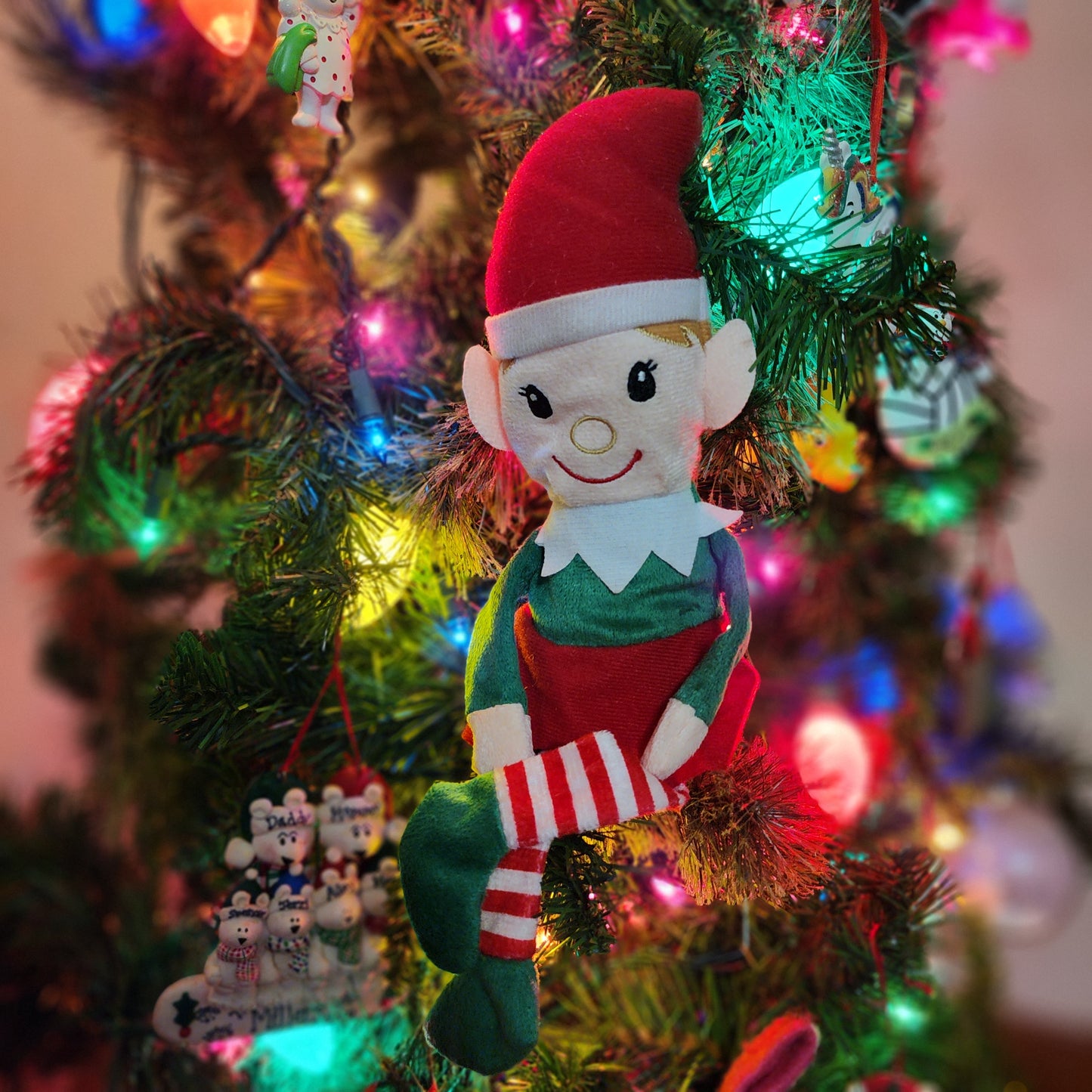 Personalized Elf